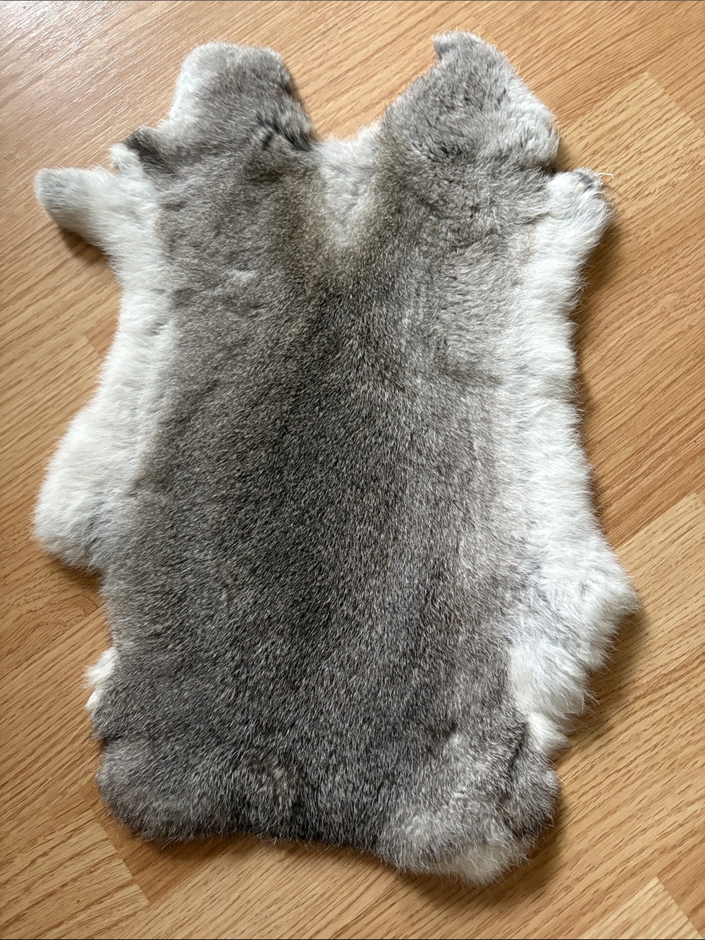 B0253 Rex rabbit hide craft supply